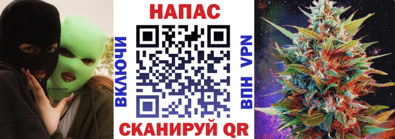 Марихуана семена  Купить закладки  Пионерский 